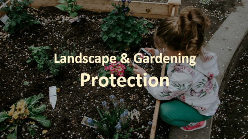 Enhancing Landscape Protection: Safeguarding Trees, Plants, and More from Common Threats